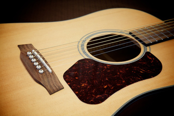 Acoustic Guitars