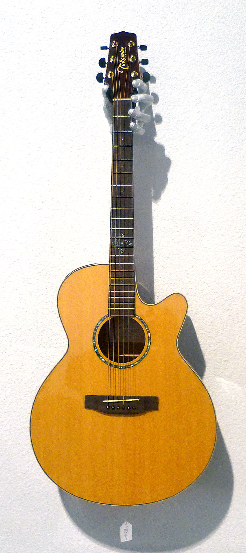 Takamine - EG 4G3 Electric Acoustic - Cutaway